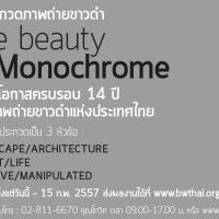 The Beauty of Monochrome Contest